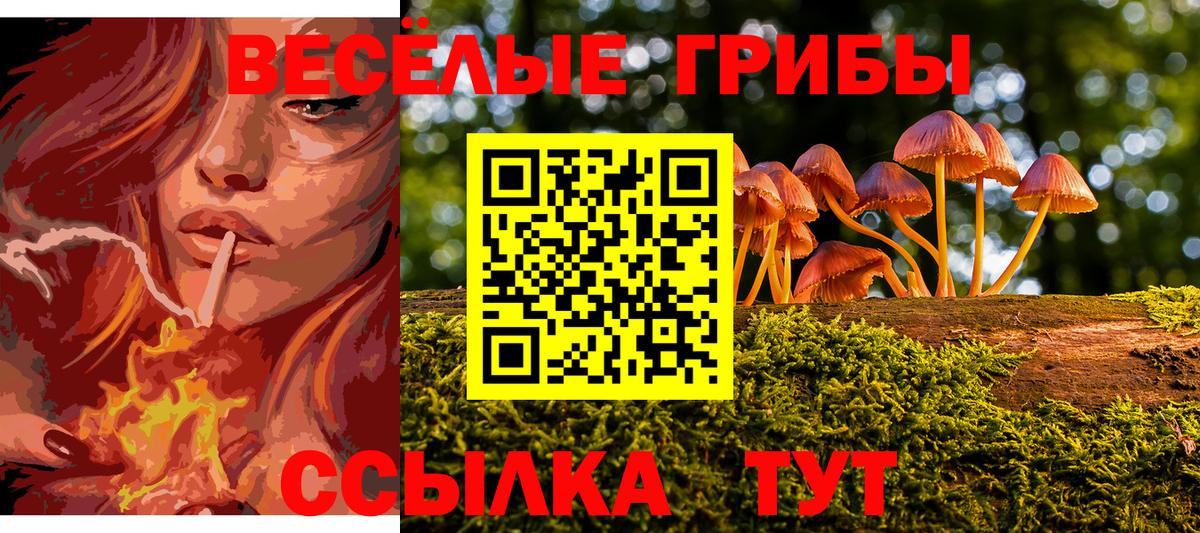 Улан-Удэ  Псилоцибиновые грибы Psilocybine cubensis  где найти наркотики  Вход с VPN 
