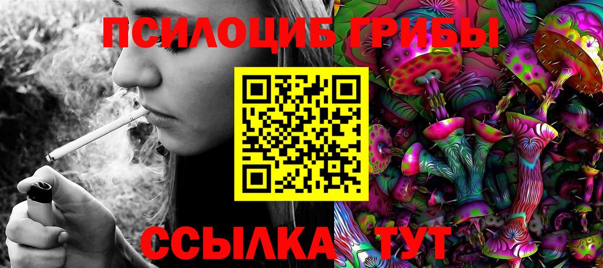 Псилоцибиновые грибы Psilocybine cubensis Улан-Удэ